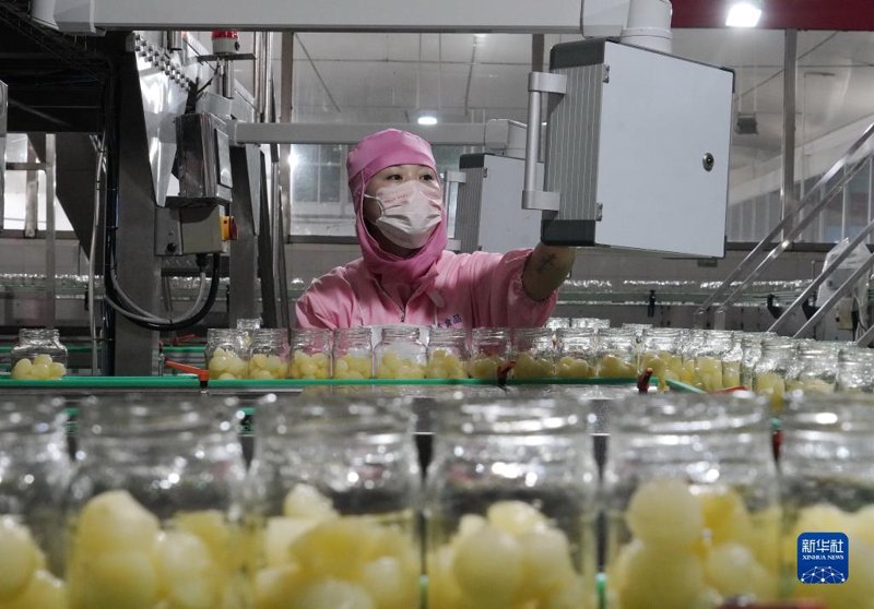 有机蔬菜:一场绿色革命的实践与分享